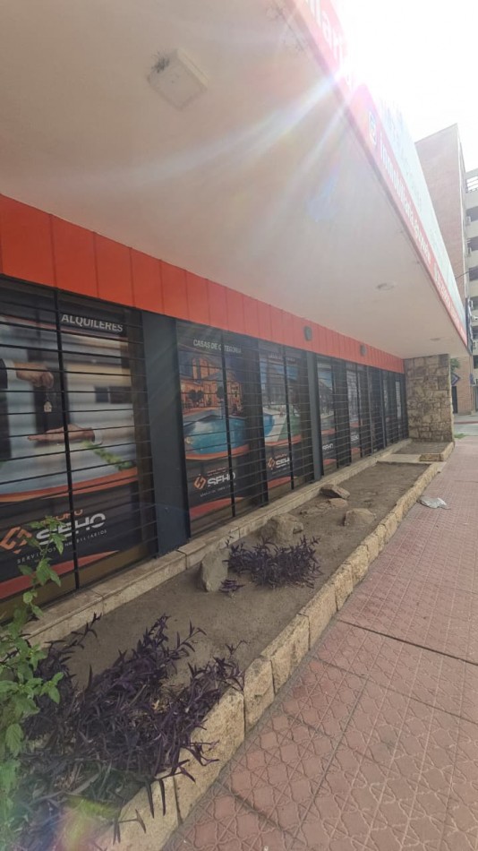 Propiedad Unica, Uso Comercial